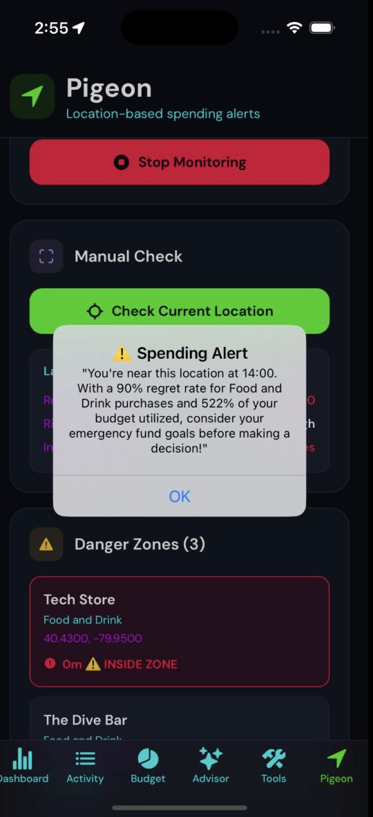 Pigeon financial advisor dashboard